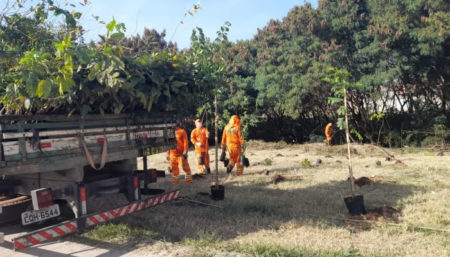 Entorno do novo viário Santa Fé recebe plantio de mais de 1,6 mil mudas de árvores nativas