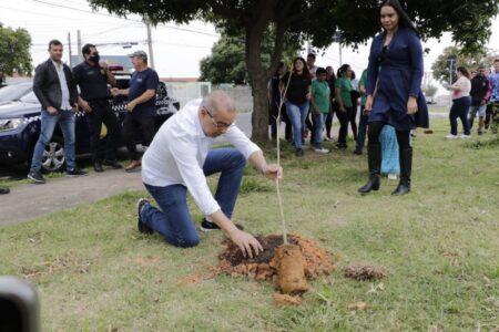Hortolândia comemora Dia da Árvore com plantio de ipês amarelos