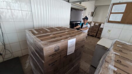 Hortolândia recebe mais 800 cestas básicas do programa Alimento Solidário