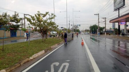 Mutirão de limpeza e poda do mato acontece em diferentes regiões de Hortolândia