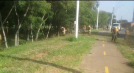 Pq. Socioambiental Chico Mendes recebe mutirão de limpeza e poda do mato