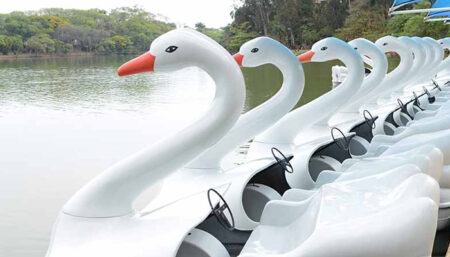 Novos pedalinhos chegam à Lagoa do Taquaral
