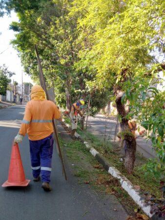 Avenidas de Hortolândia recebem poda do mato e limpeza de canteiros centrais
