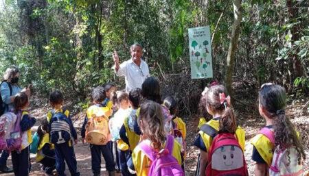 Fundação abre inscrições para caminhadas na Mata de Santa Genebra