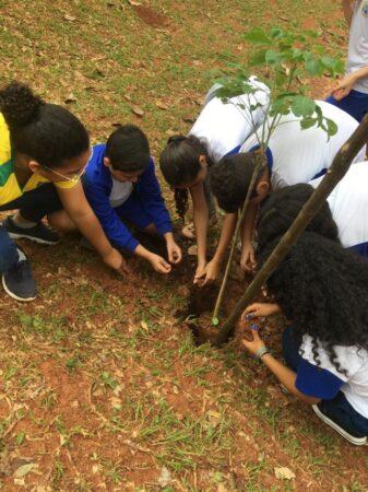 Crianças de Hortolândia ajudam a plantar mudas de árvores em escolas municipais