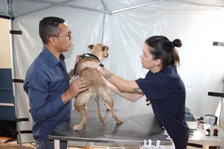 Prefeitura abre inscrição para castração de cães e gatos na segunda-feira (12/12)