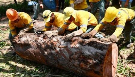 Fechamento dos parques e praças de esportes em Campinas, após acidente fatal no Taquaral