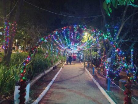 Decoração do Natal Sustentável será reaproveitada no final do ano