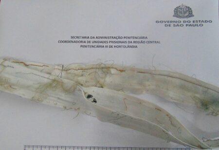 Mãe envia LSD para PIII de Hortolândia