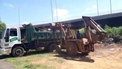 Área próxima à Ponte Estaiada recebe limpeza