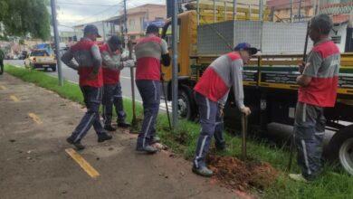 alerta sobre vandalismo