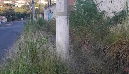 Área publica abandonada revolta moradores do Jardim do Lago