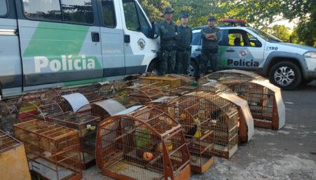 Policia Ambiental autua homem em quase 50 mil reais em Hortolândia