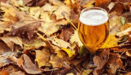 Cervejas mais indicadas para esse período do ano e como harmonizar com pratos típicos dessa estação