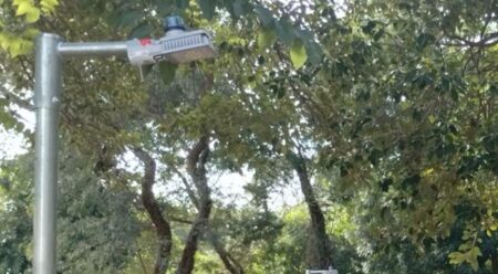 Iluminação LED traz maior segurança para frequentadores do Bosque do Jardim Novo Cambuí