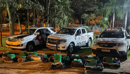 PM apreende 382 tijolos de maconha que tinha como destino final Campinas
