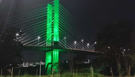 Ponte Estaiada fica verde em homenagem ao mês do Meio Ambiente