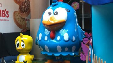 Galinha Pintadinha no Campinas Shopping