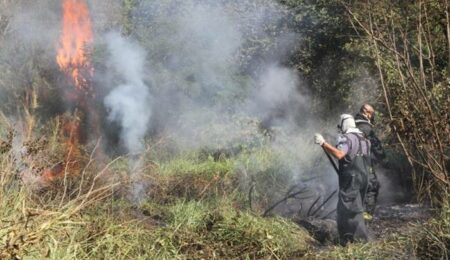 Aumento no número de focos de incêndio em Hortolândia preocupa especialistas