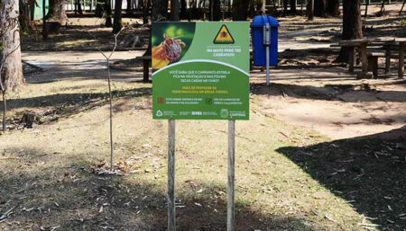 Campinas confirma mais uma caso de febre maculosa
