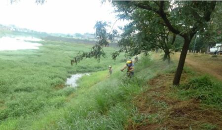 Parque Remanso das Águas recebe limpeza e poda de mato