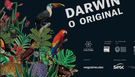 No Sesc Campinas, exposição sobre Darwin convida o público a uma viagem cheia de surpresas