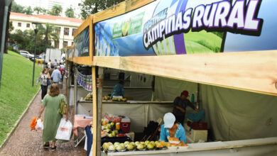 Festival Rural