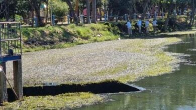 lagoa do Santa Clara