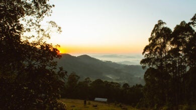 Serra do Japi