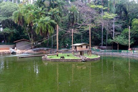 Horário de funcionamento do Bosque dos Jequitibás após fortes chuvas: confira
