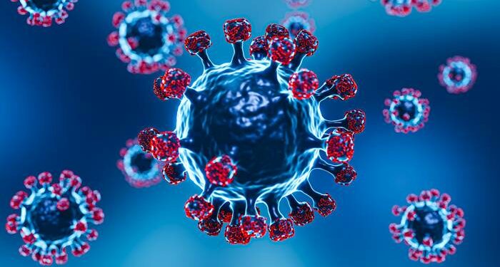 Nova variante Covid Eris