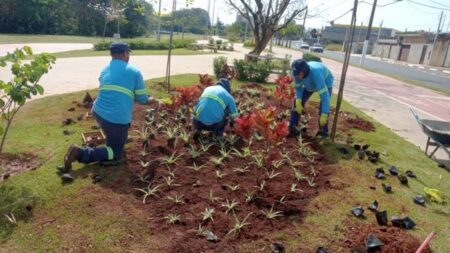 Pq. Socioambiental Lago da Fé, em Hortolândia, receberá o plantio de mais de 1000 mudas de diversas espécies