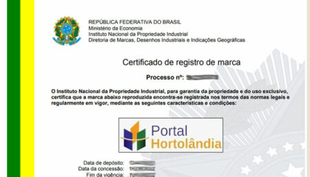Requisitos para o registro de marca e suas formas de apresentação