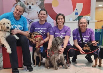 Campinas shopping realiza feira de adoção pet