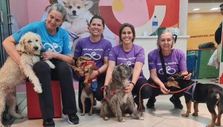 Campinas shopping realiza feira de adoção pet
