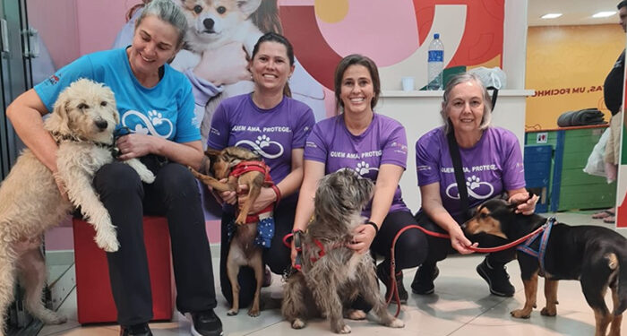 Campinas shopping realiza feira de adoção pet