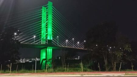 A partir de hoje (18) à noite, a Ponte Estaiada estará com as luzes verdes, em comemoração ao Dia da Árvore