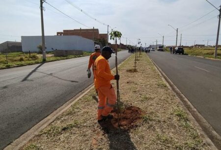 Plantio de Ipês em Hortolândia, comemora o mês da Árvore