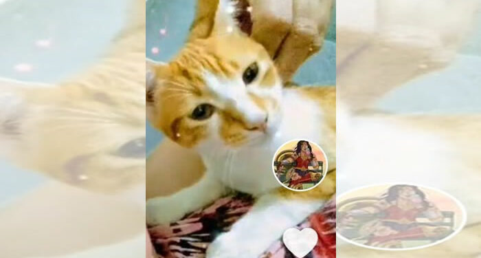 Osvaldo se perdeu e precisa de ajuda para achar sua casa