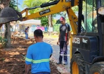 Observatório Ambiental Parque Escola