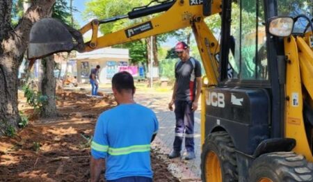 Observatório Ambiental Parque Escola, em Hortolândia, recebe melhoria e manutenção