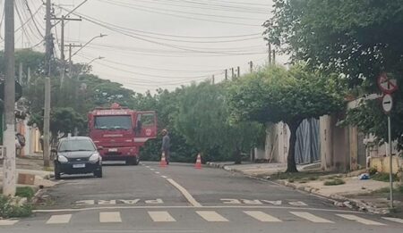 Queda de árvore na tarde de hoje (13) interdita rua no Jardim Sumarezinho, em Hortolândia