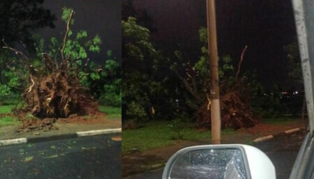 Forte chuva que atingiu Hortolândia deixou bairros sem energia e queda de arvores
