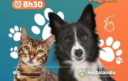 Inscrições gratuitas para Castração de Cães e Gatos em Hortolândia serão abertas na próxima segunda-feira (23)