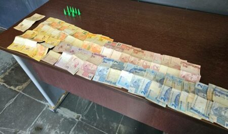 Cães da GM de Hortolândia ajudam a prender suspeito de tráfico de drogas no Vl. Real