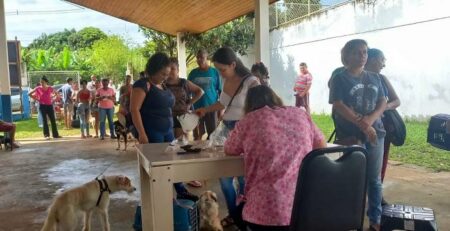 Agendamento para castração gratuita de animais domésticos em Hortolândia acontece na próxima segunda (23) | Confira tabela completa e programe-se