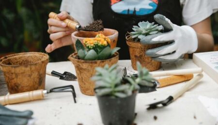 Estão abertas inscrições gratuitas para curso de jardinagem em Hortolândia