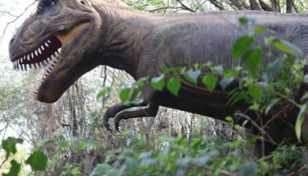 Com entrada gratuita, Parque dos Dinossauros fica a menos de 60 km de Hortolândia