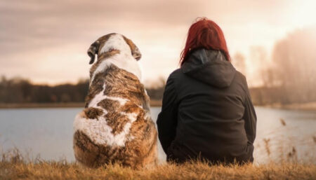 Férias com os pets não deve ser momento de estresse