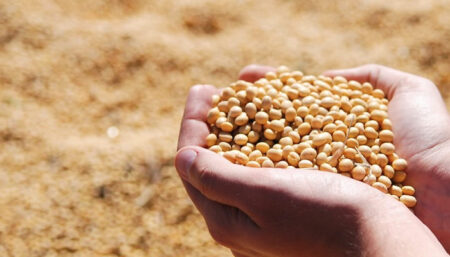 Agro e Serviços vão pagar a conta da reforma tributária do improviso